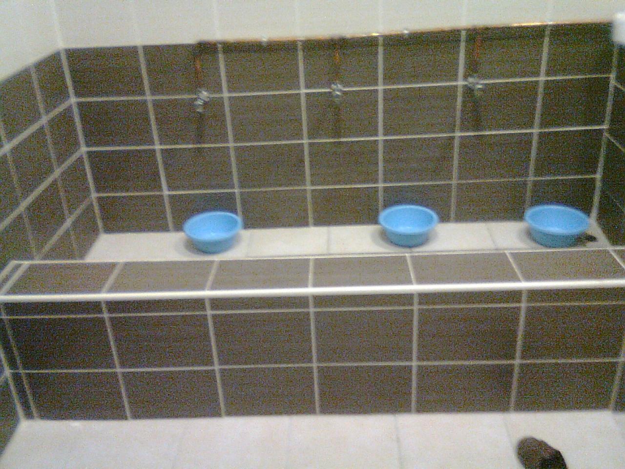 salle d'ablutions